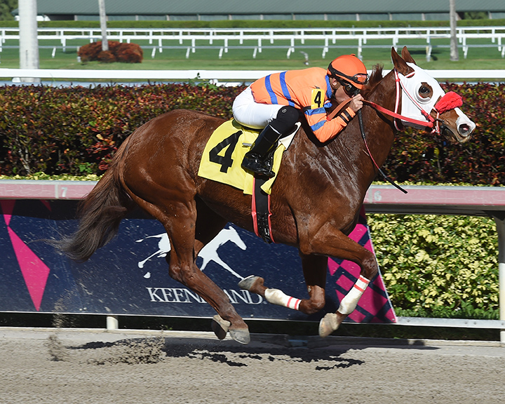 Manoel Cruz aboard Neuqua wins a Feb. 14 claiming race