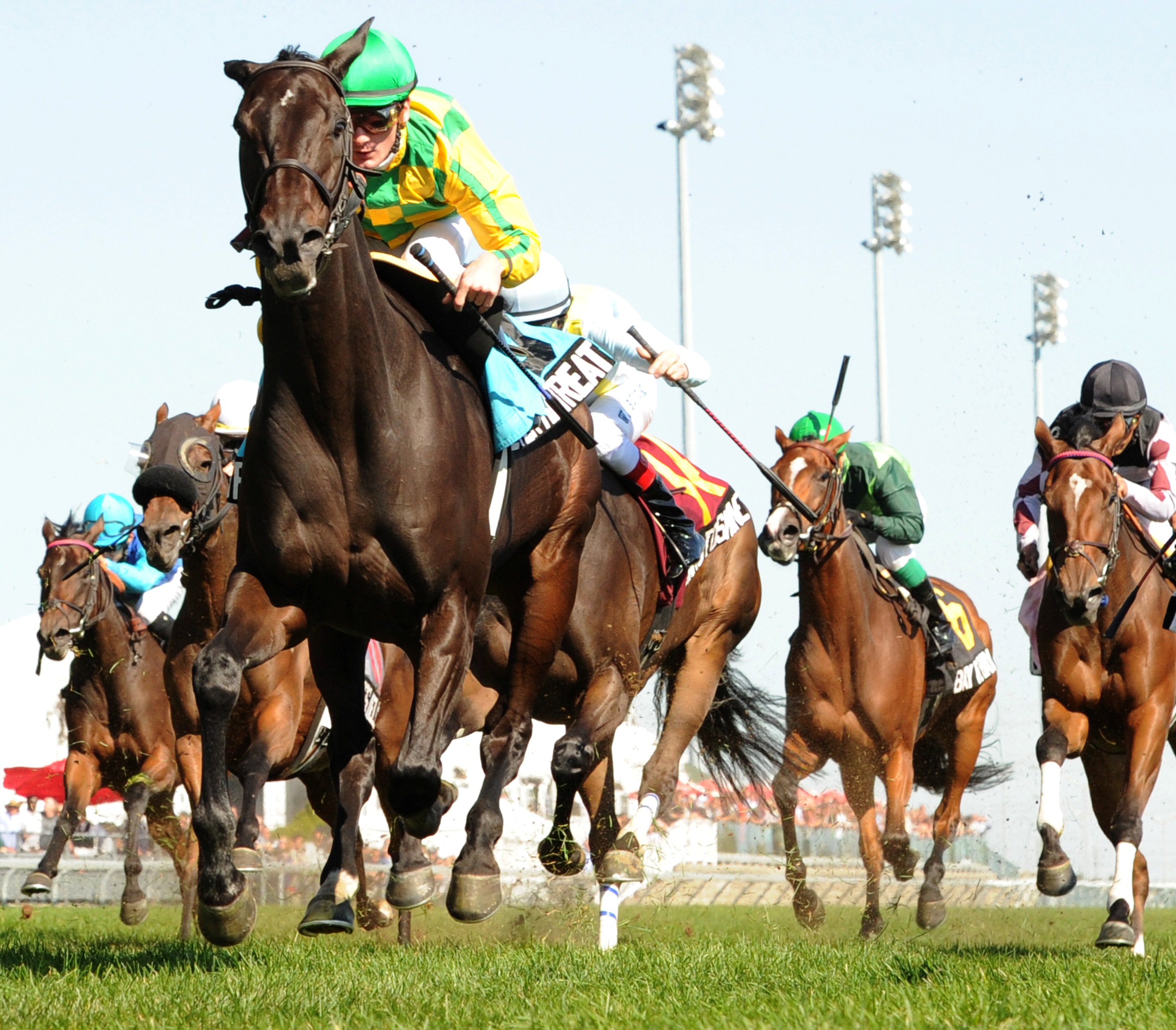 Sovereign Awards: Never Retreat named Canada's 2011 Horse of the Year in close vote