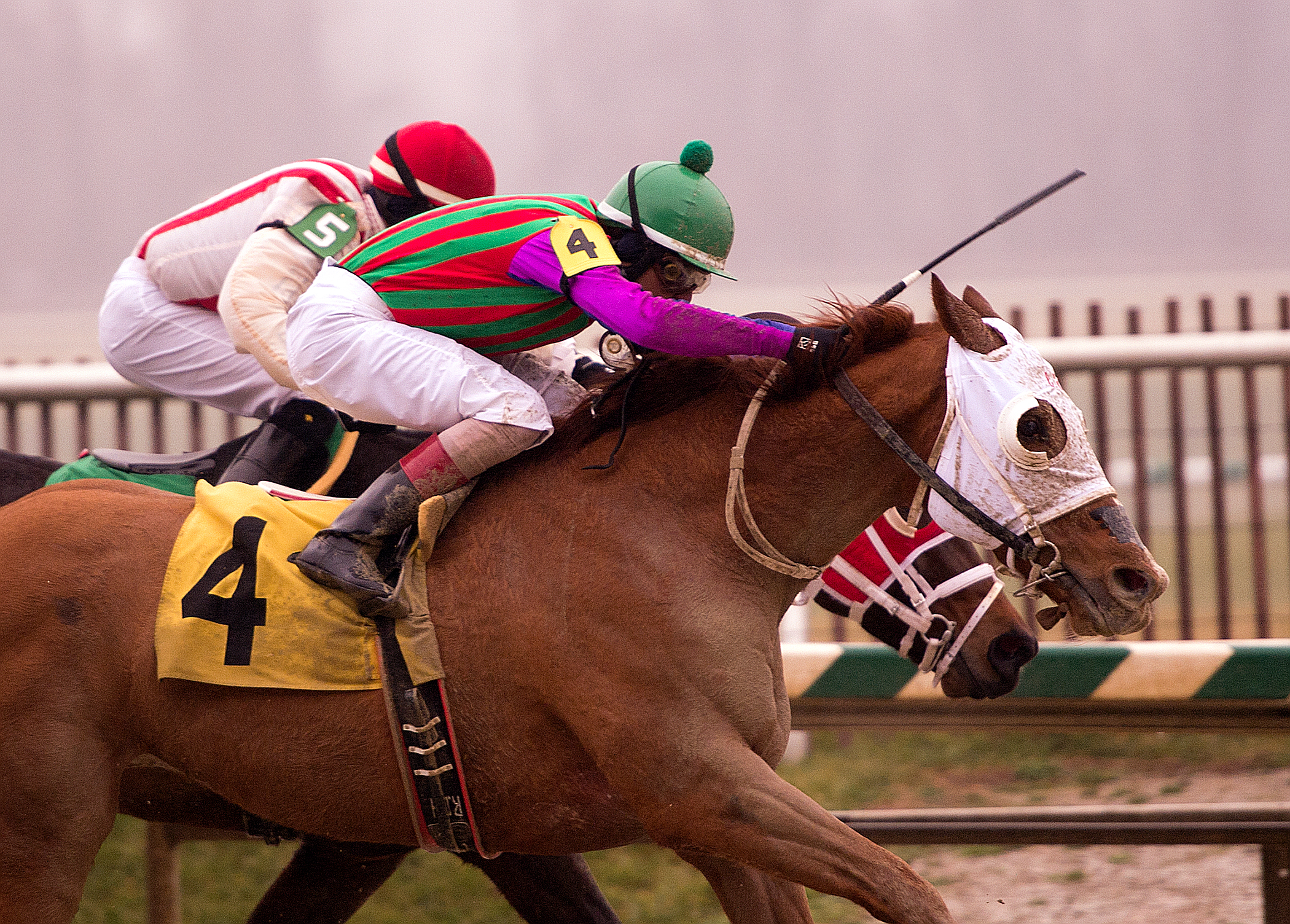 Never Stop Looking wins the Fire Plug Stakes