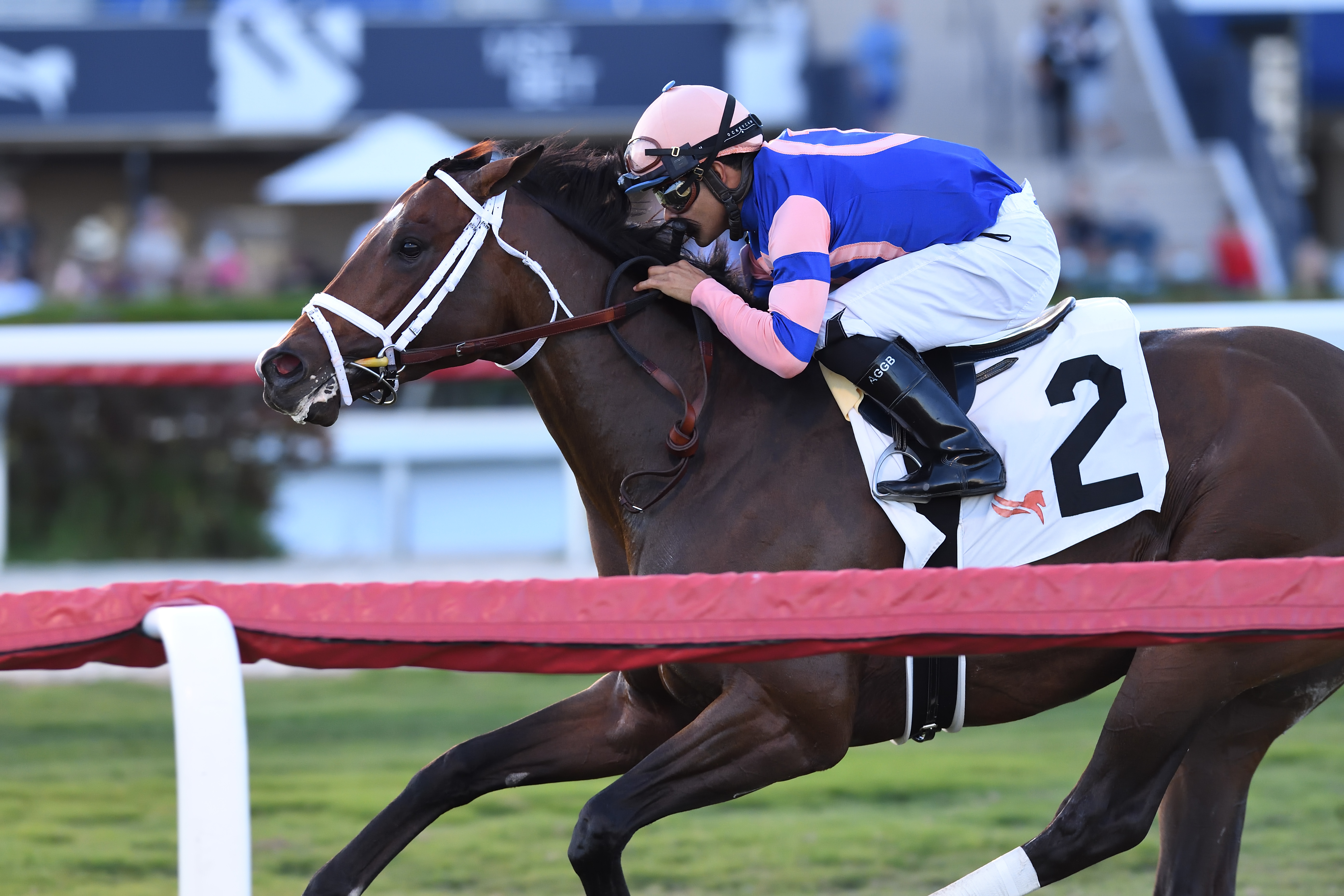 Never Surprised wins Tropical Park Derby 12-26-2021