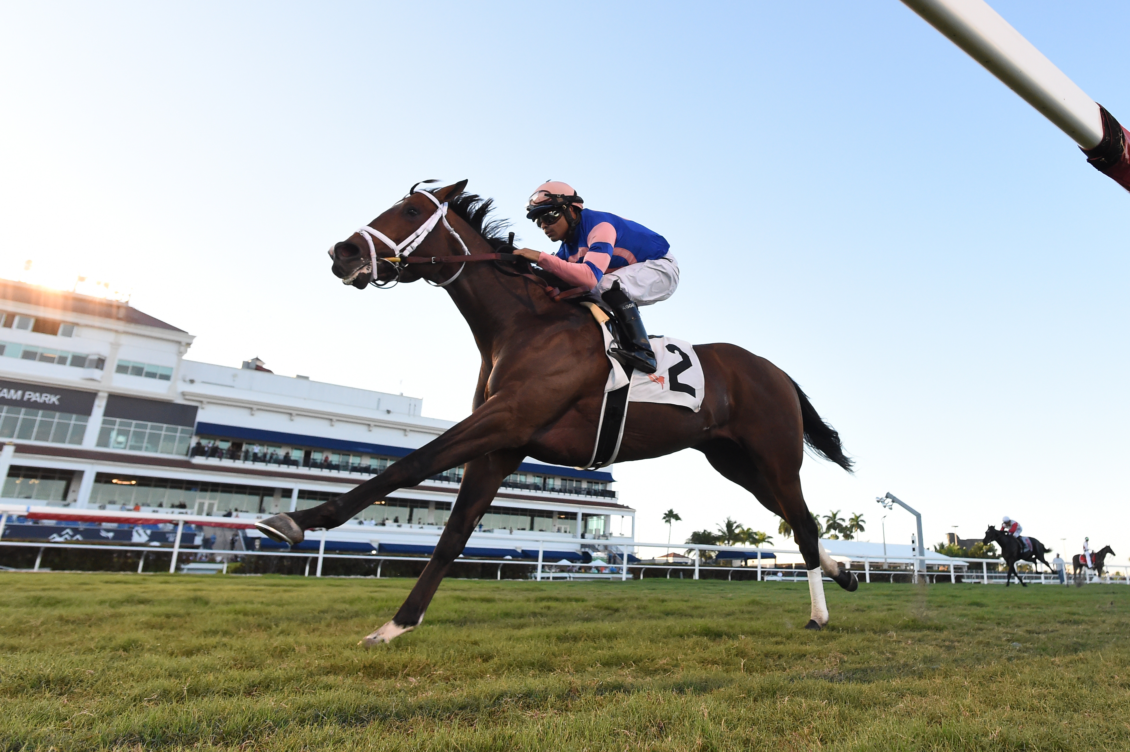 Never Surprised wins the Tropical Park Derby.12-26-2021