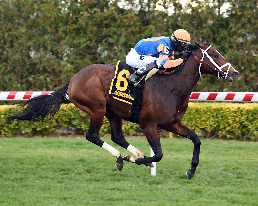Never Surprised wins the 2021 Gio Ponti Stakes at Aqueduct Racetrack