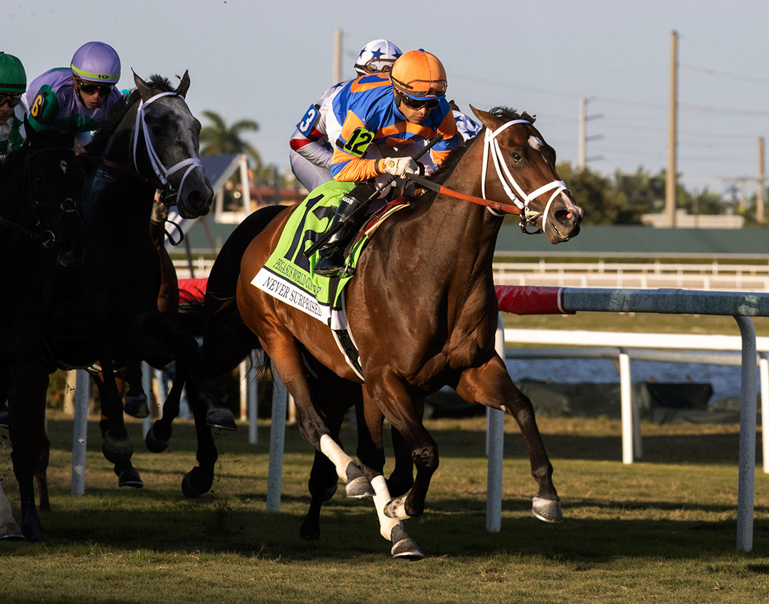 Never Surprised finishes second in the Pegasus World Cup Turf at Gulfstream Park