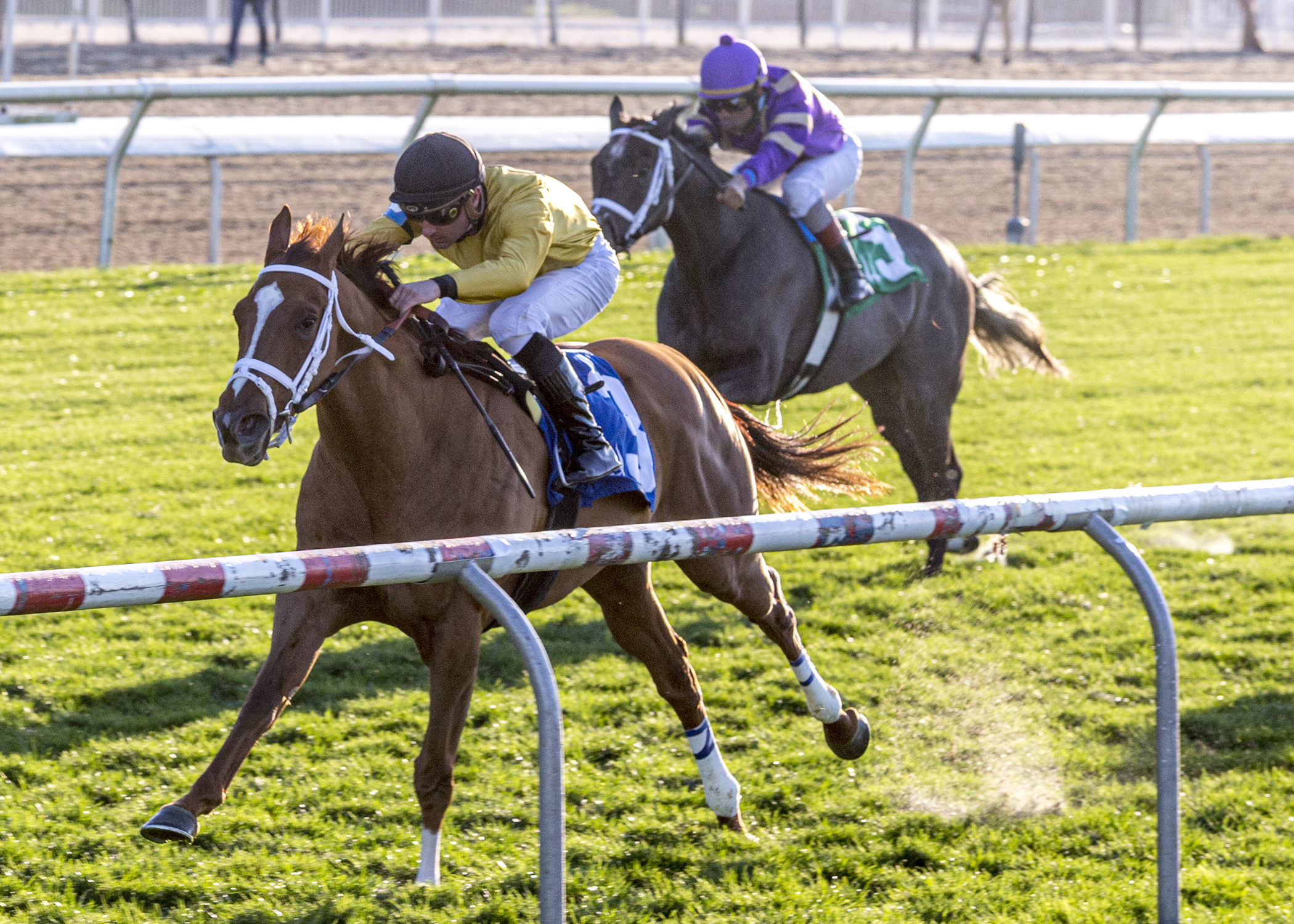 New Boss wins the Allen Lacombe Stakes.3.6.2021