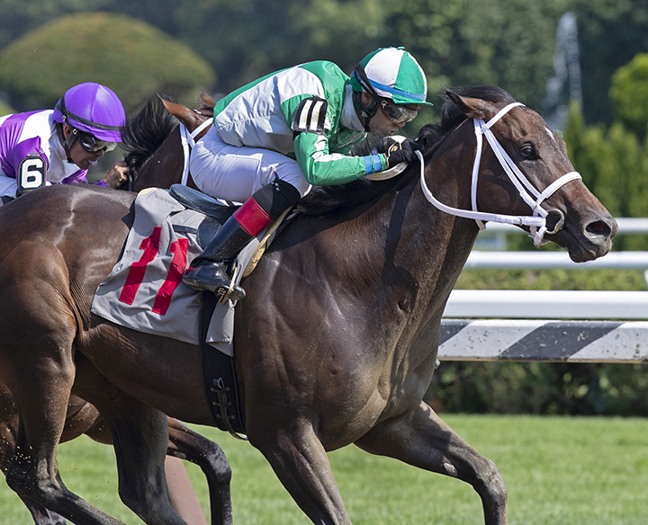 New Girl in Town wins a July 27 allowance at Saratoga Race Course