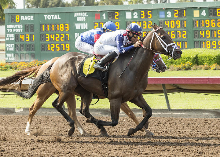 New Karma wins a July 15 allowance race