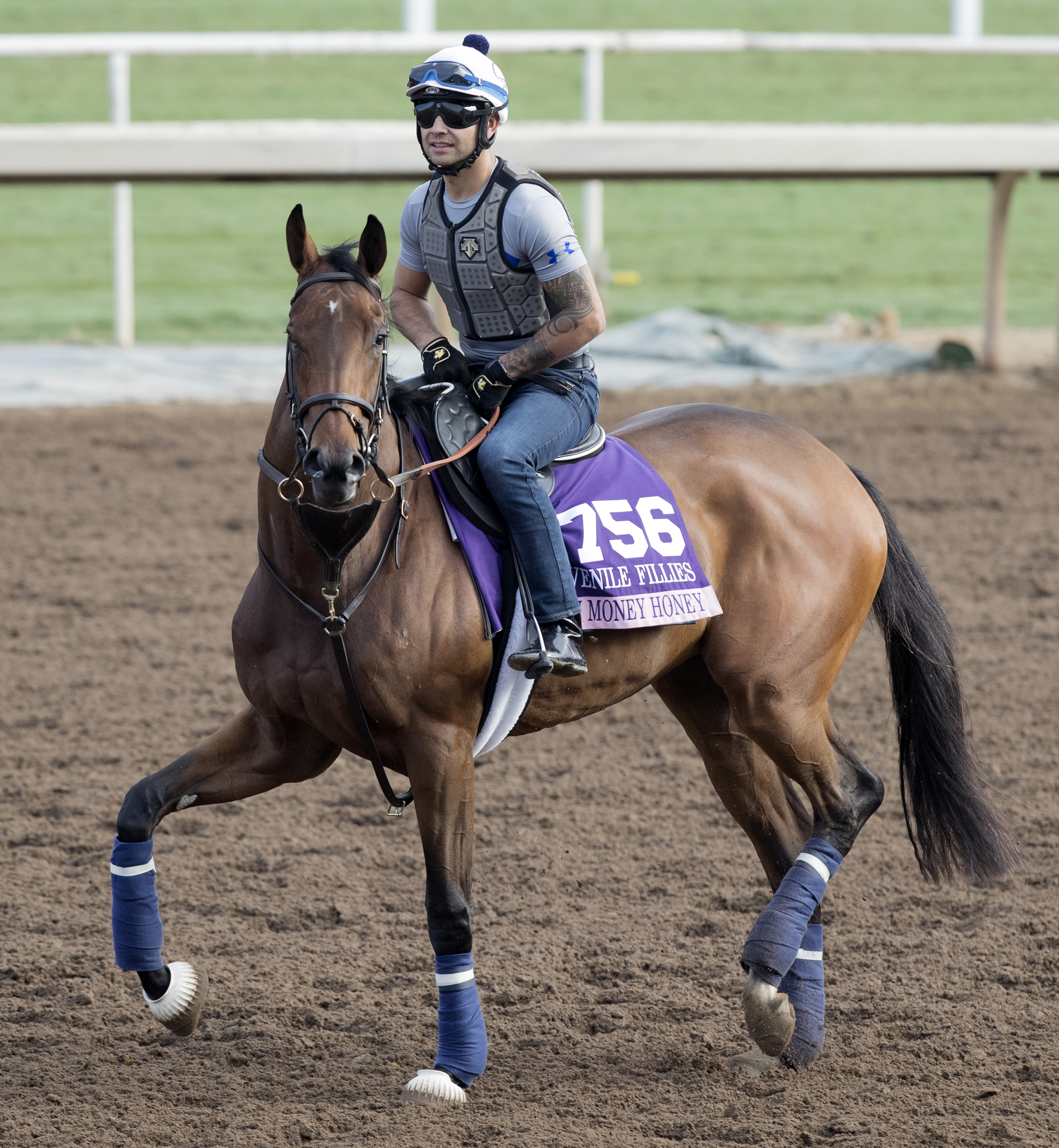 New Money Honey at Santa Anita on Oct. 31