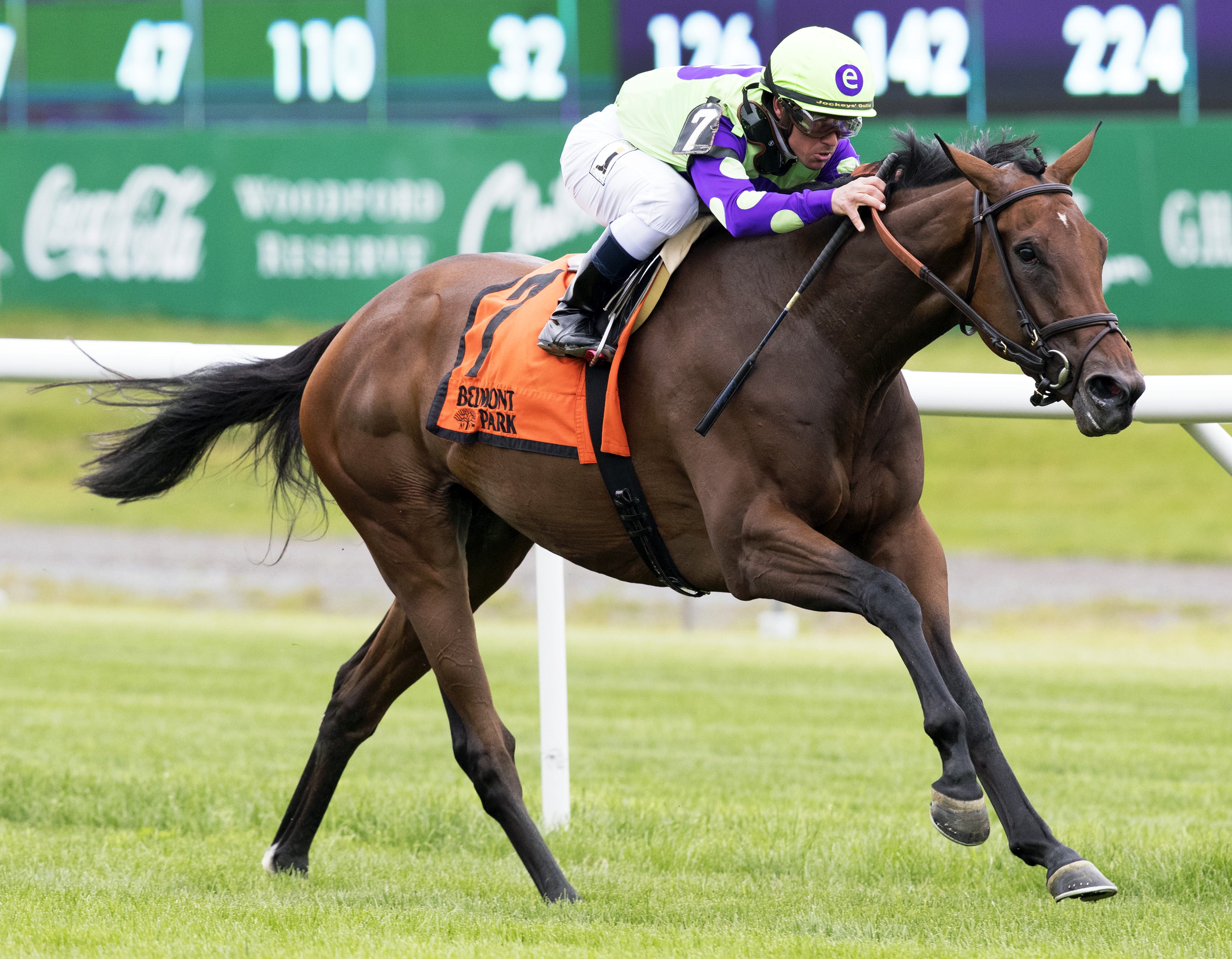 New Money Honey wins the Wonder Again Stakes