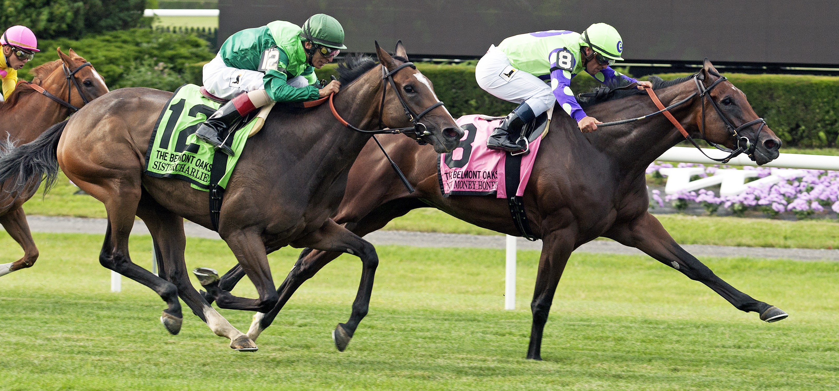 New Money Honey wins the 2017 Belmont Oaks