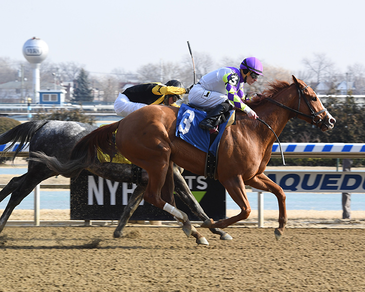 New Year's Wish wins a Feb. 3 allowance race