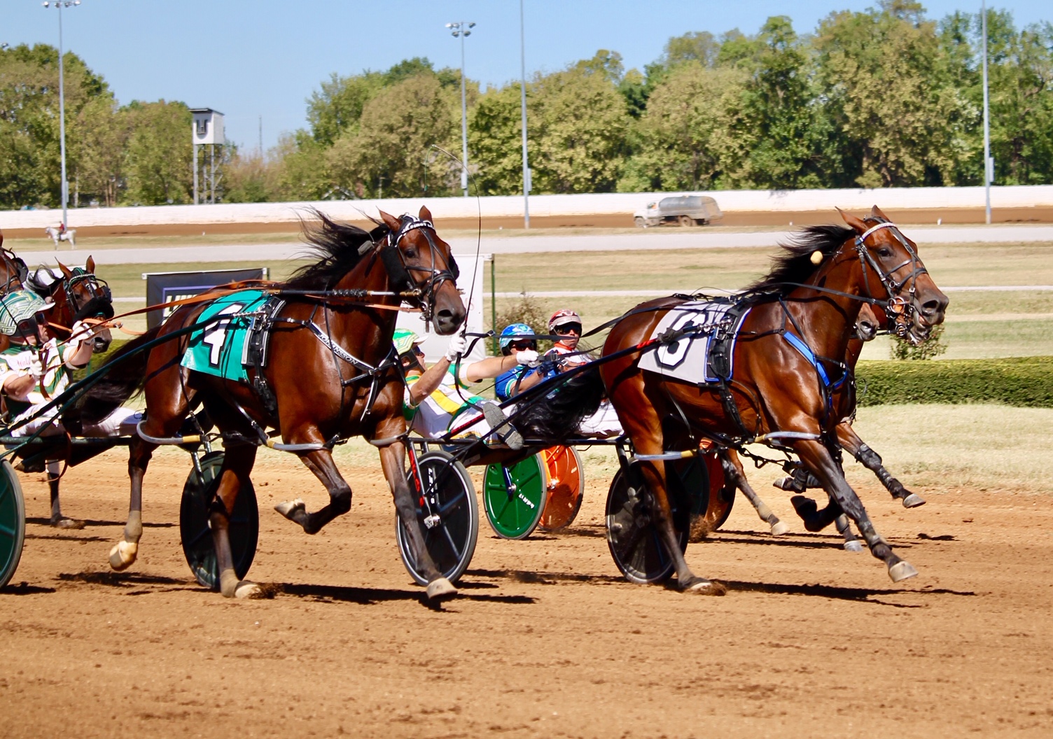 New Year