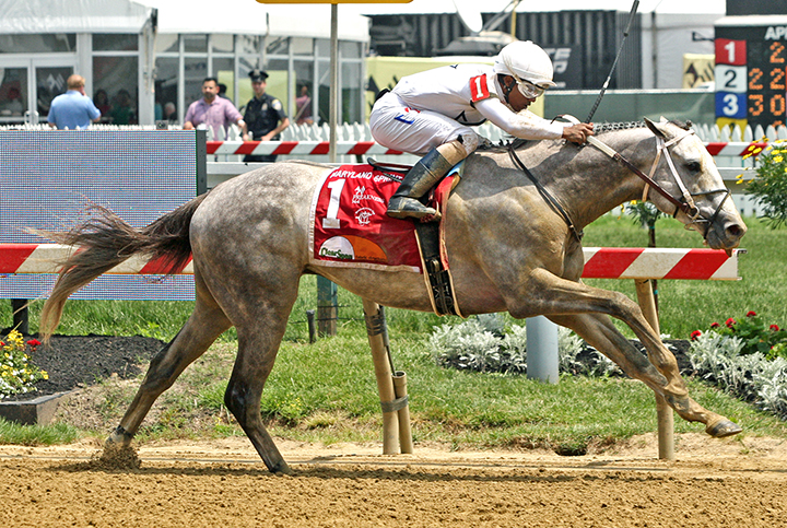 New York Central wins the 2019 Maryland Sprint Stakes
