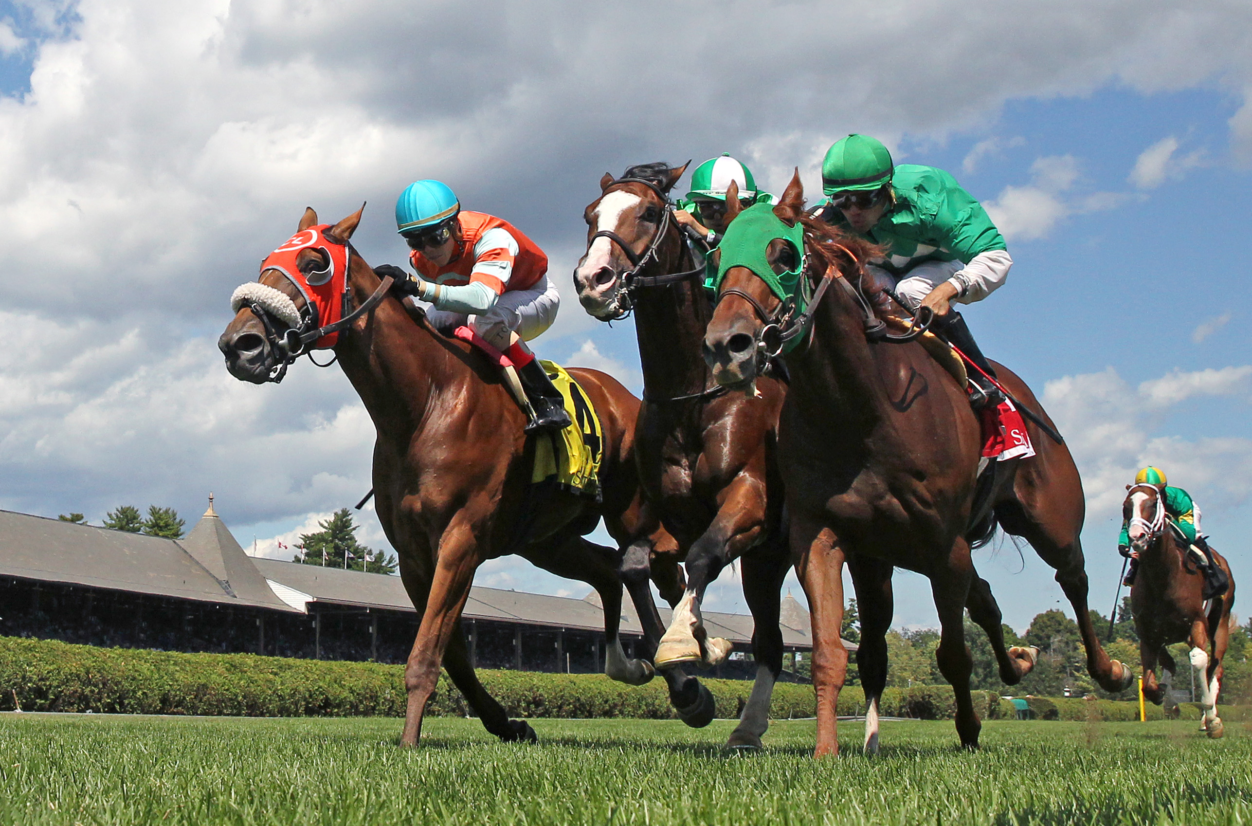 Uno Emayo/New York Stallion