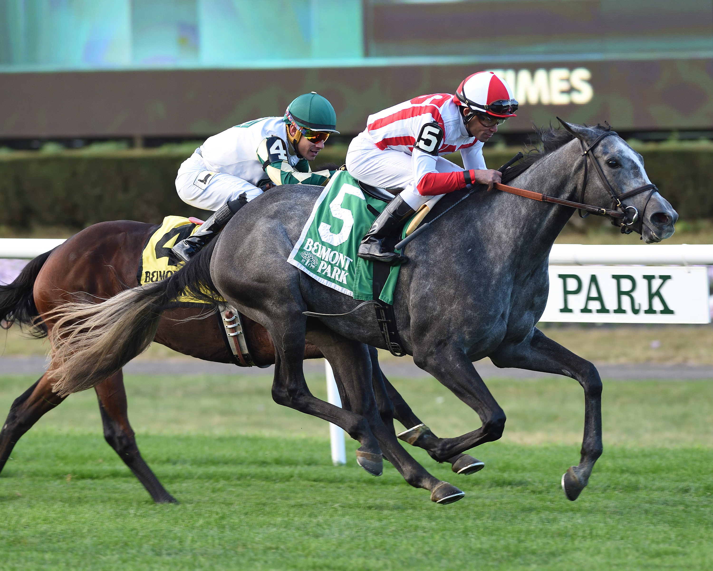 New and Improved wins the 2019 Sands Point Stakes