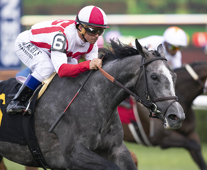 New and Improved wins a July 28 maiden race at Saratoga Race Course
