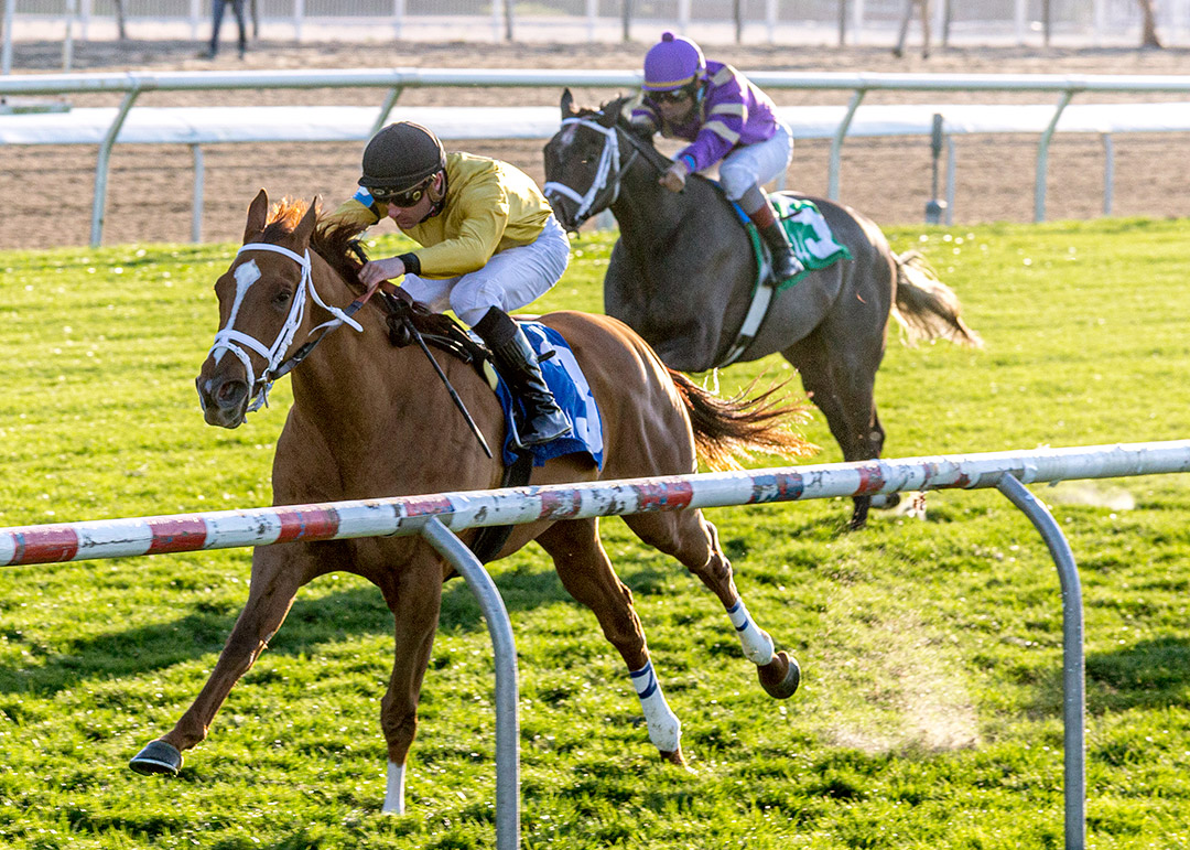 New Boss wins the 2021 Allen "Black Cat" Lacombe Memorial Stakes at Fair Grounds