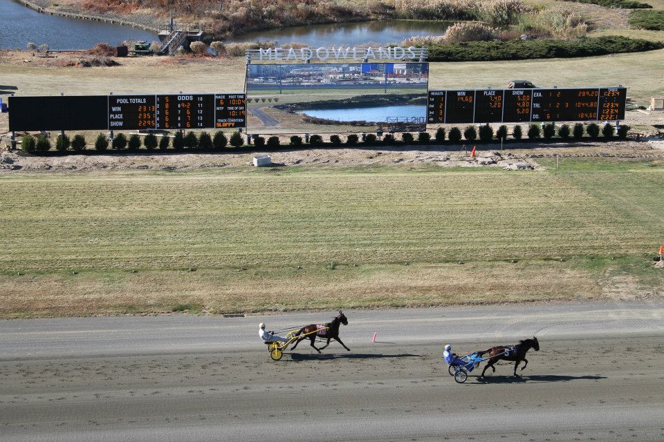 Meadowlands tote