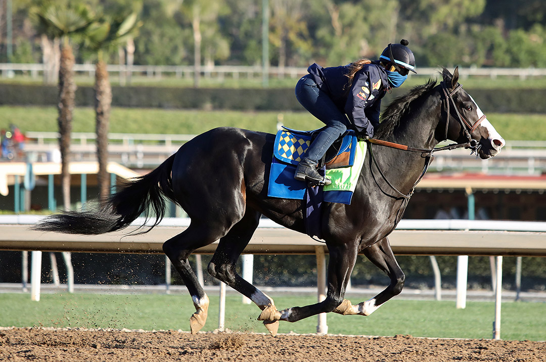 Newgrange trains at Santa Anita on Jan. 14