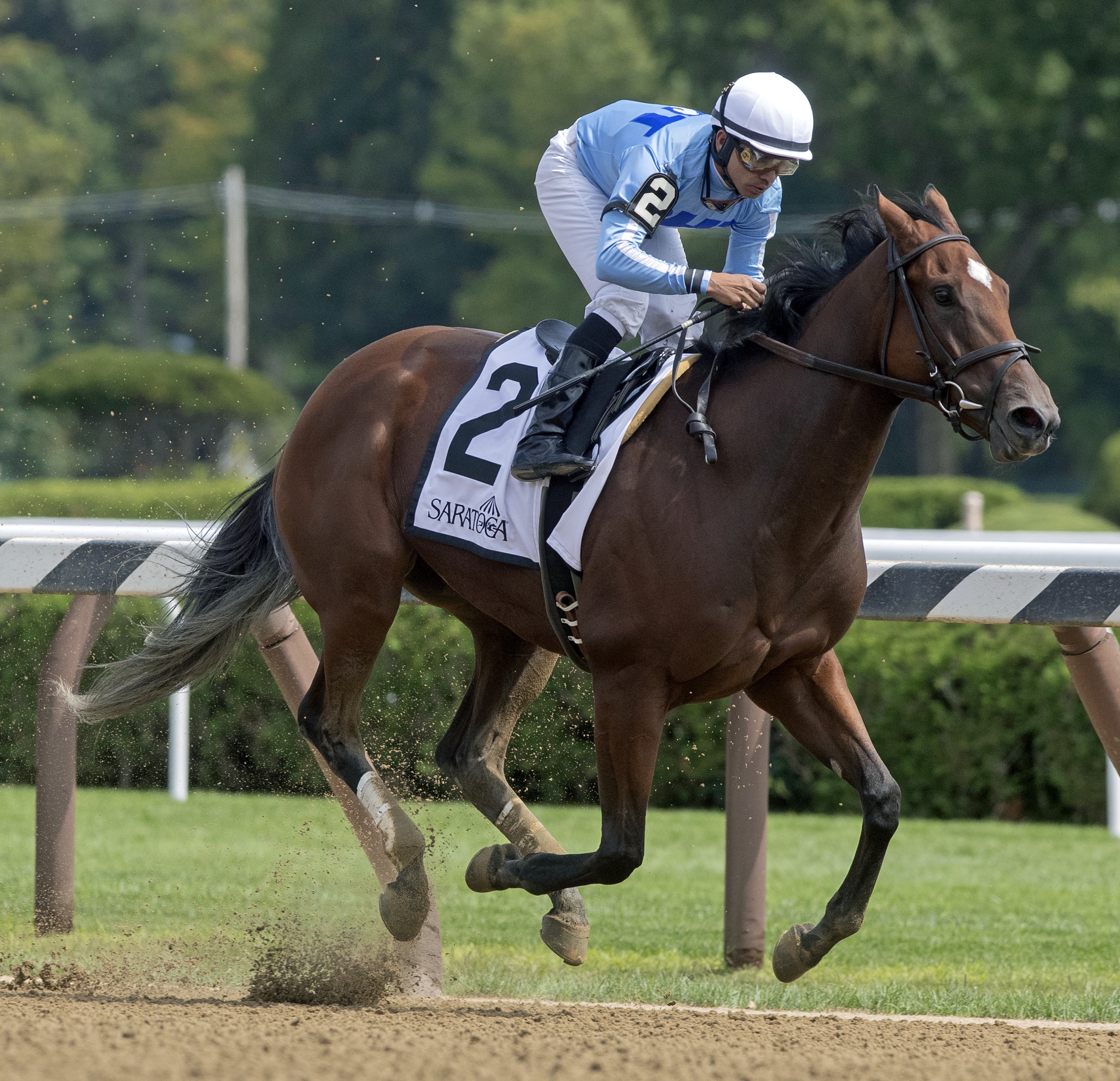Newly Minted wins the 2019 Fleet Indian Stakes
