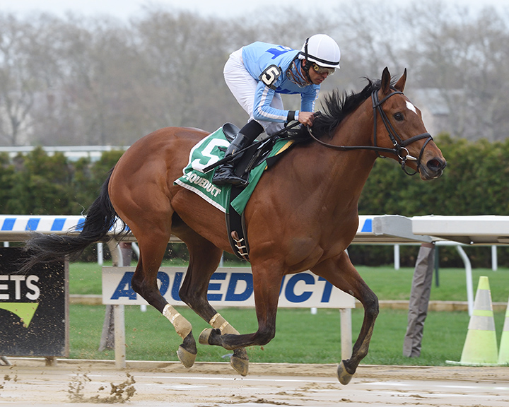 Newly Minted wins the 2019 Park Avenue