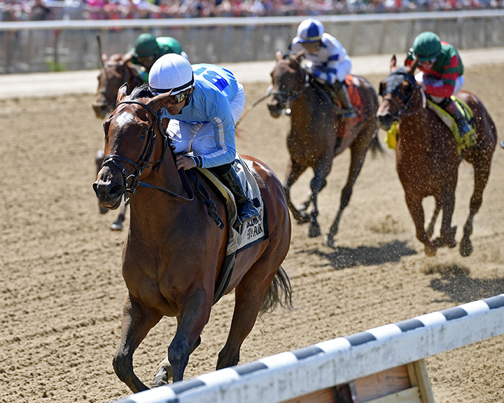 Newly Minted wins the 2019 Bouwerie Stakes