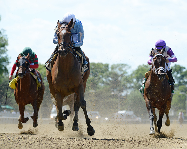 Newly Minted wins the 2019 Bouwerie Stakes