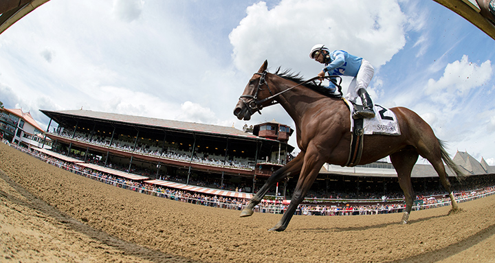 Newly Minted wins the 2019 Fleet Indian Stakes at Saratoga Race Course