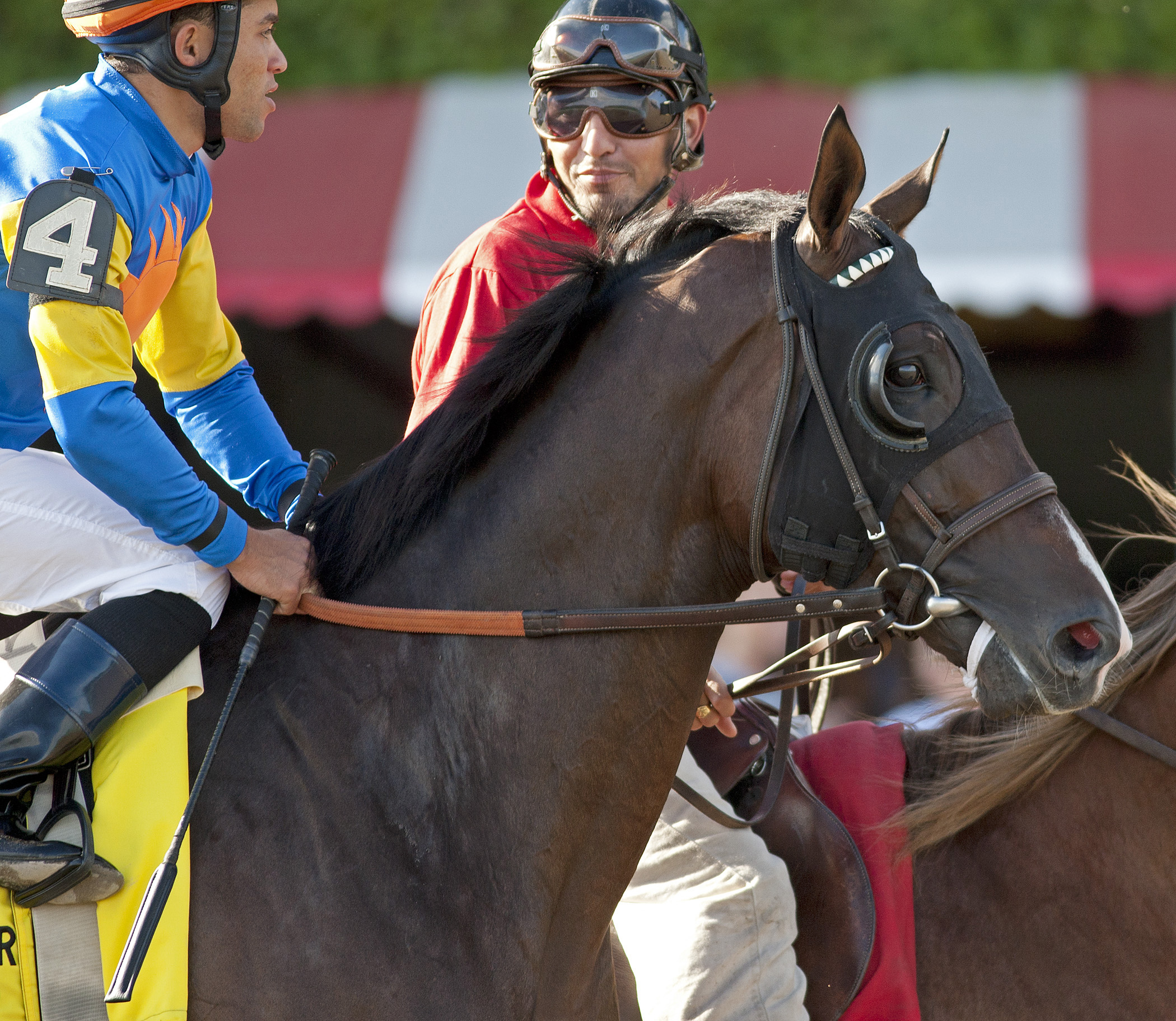 King: Newsdad's odds look generous in Bowling Green