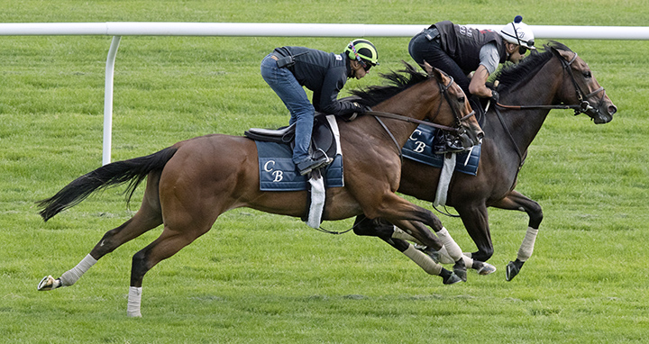 Newspaperofrecord trains at Belmont Park on June 1