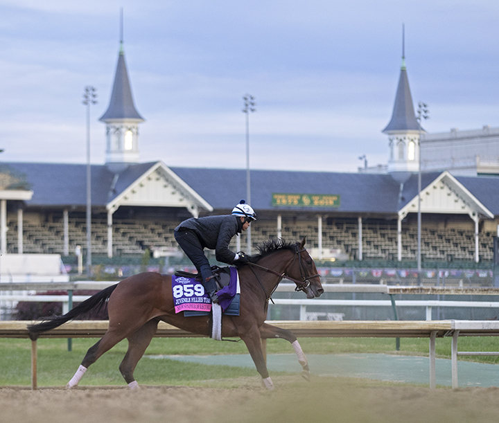 Newspaperofrecord trains at Churchill on Oct. 30