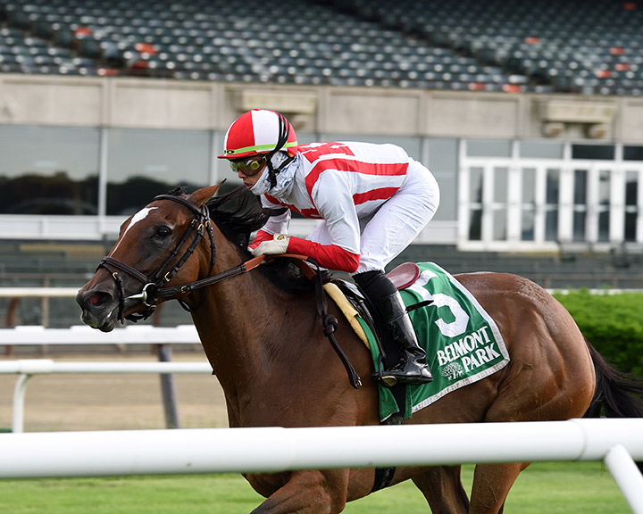 Newspaperofrecord wins the 2020 Intercontinental Stakes at Belmont Park