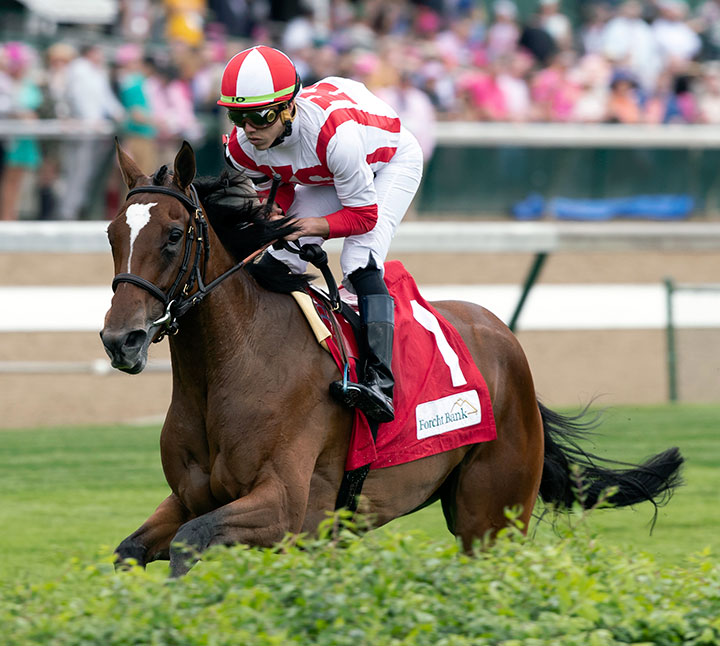 Newspaperofrecord finishes second in the 2019 Edgewood Stakes at Churchill Downs