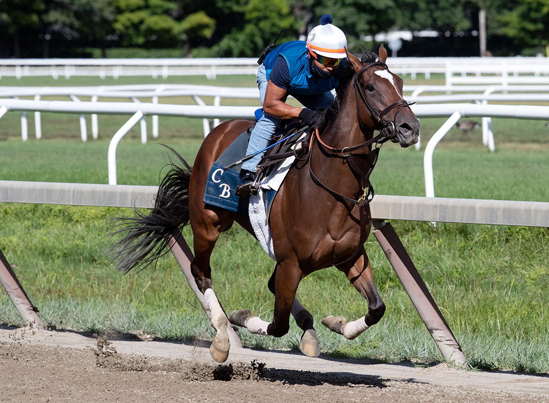 Newspaperofrecord trains at Saratoga on Aug. 30