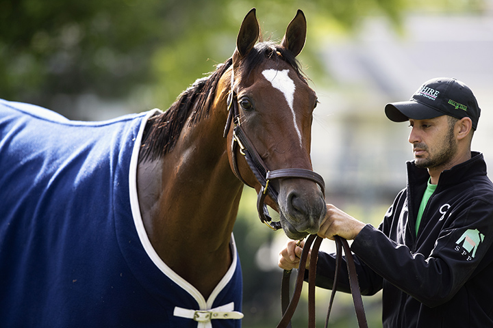 Newspaperofrecord at Churchill on April 27