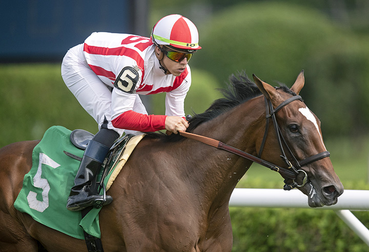 Newspaperofrecord wins an Aug. 19 maiden race