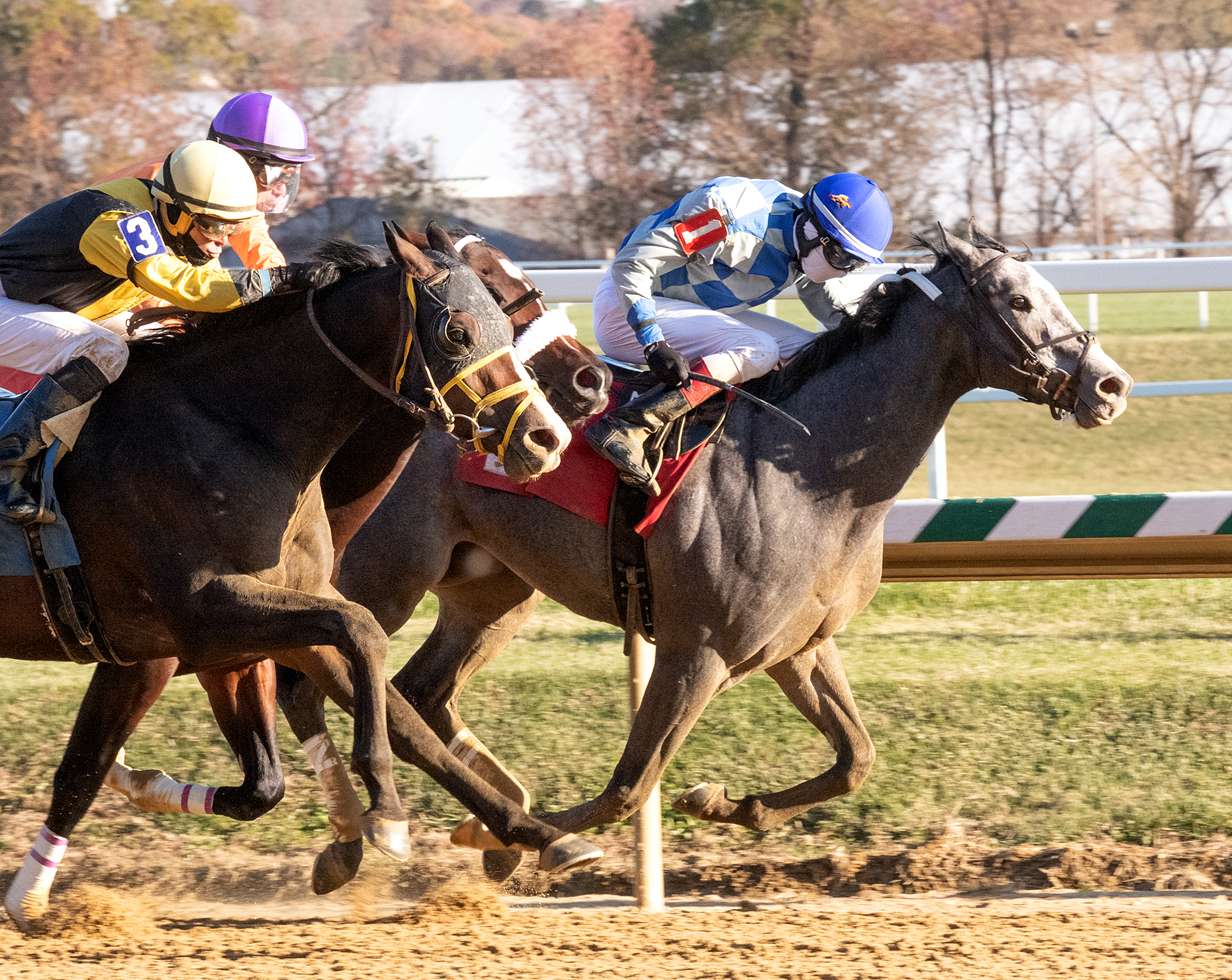 Newstome (inside) wins the 2019 James F. Lewis Stakes