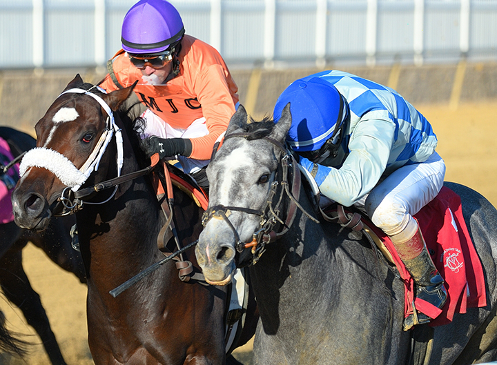 Newstome (right) wins the James F. Lewis III Stakes at Laurel Park