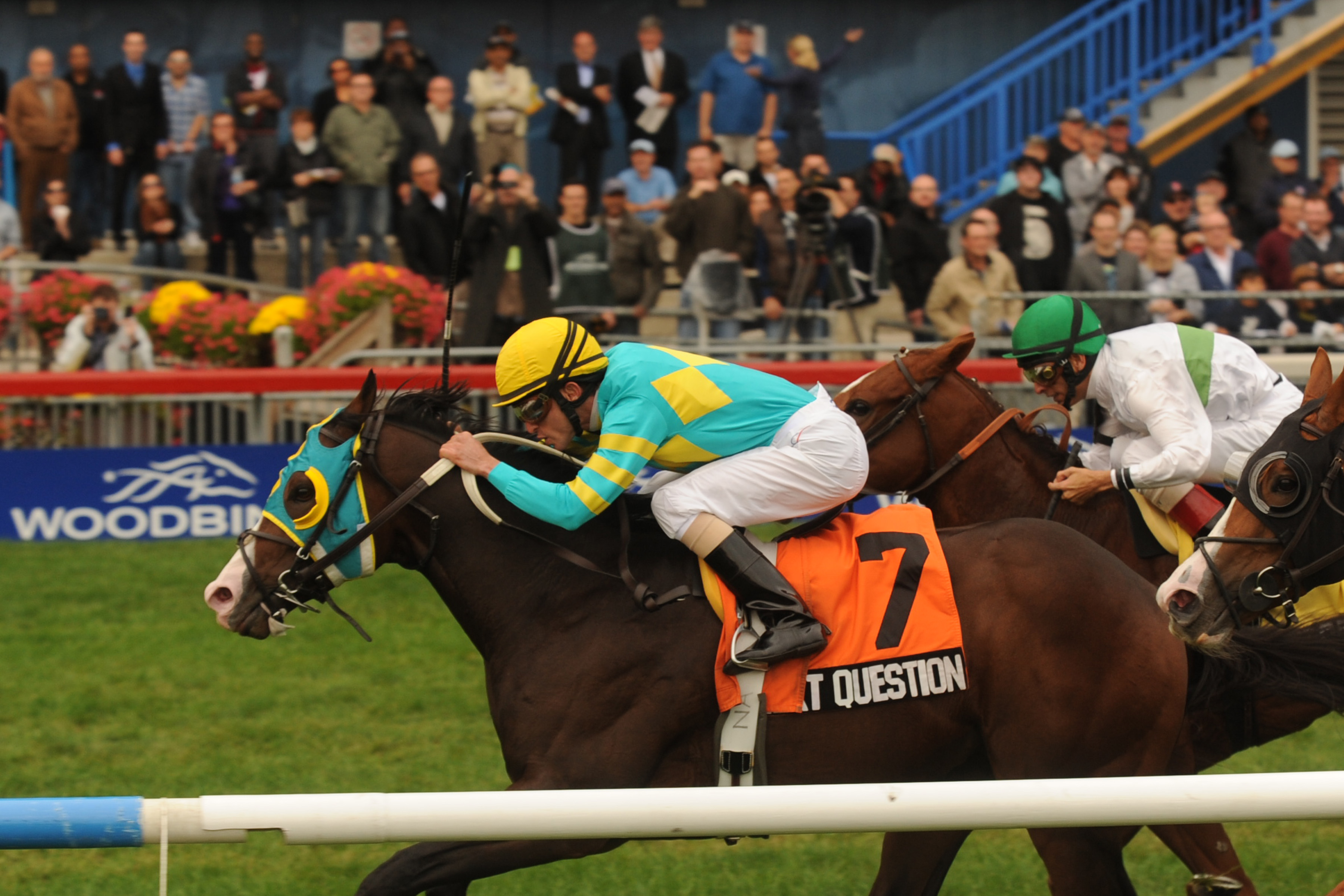 Next Question, Nearctic Stakes