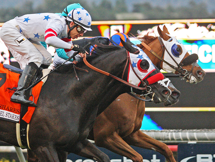 Next Shares wins the 2019 San Gabriel Stakes at Santa Anita