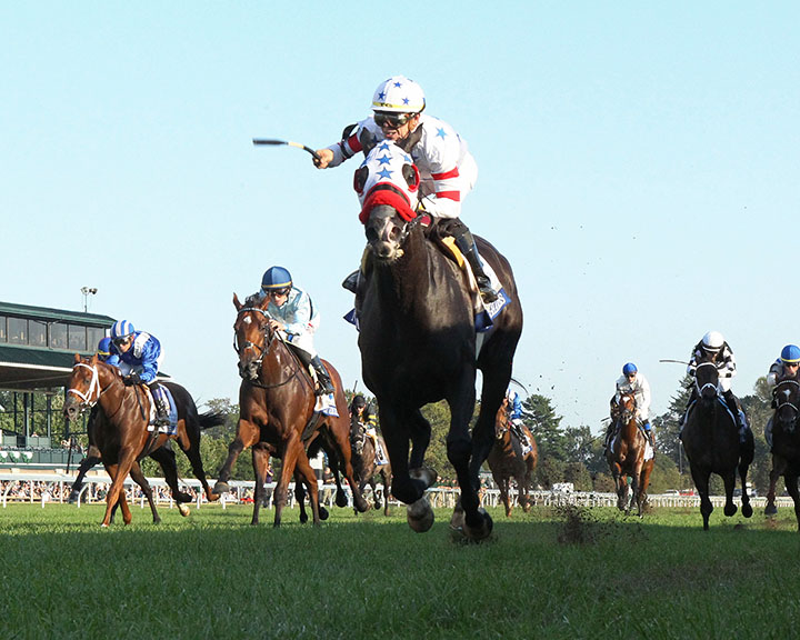 Next Shares wins the 2018 Shadwell Turf