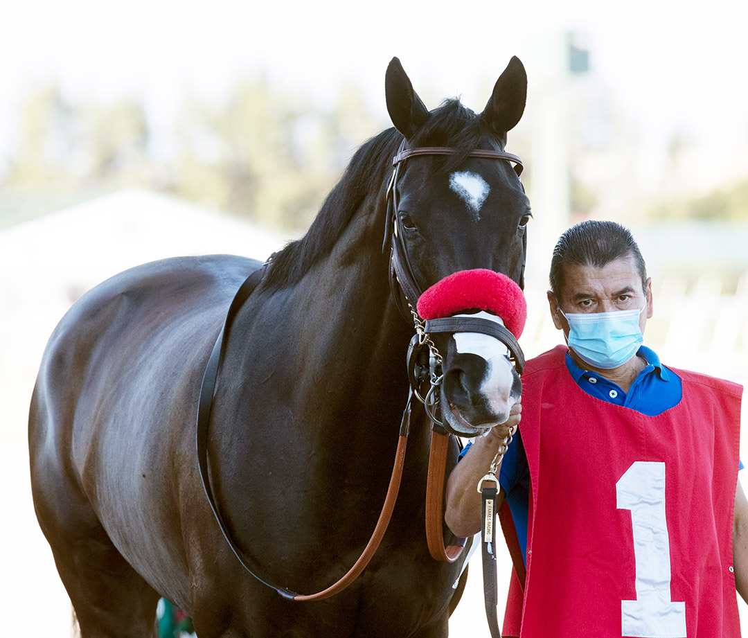 Next Shares at Gulfstream Park in January 2021