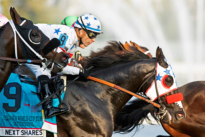 Next Share finishes 12th in the 2020 Pegasus World Cup Turf at Gulfstream Park