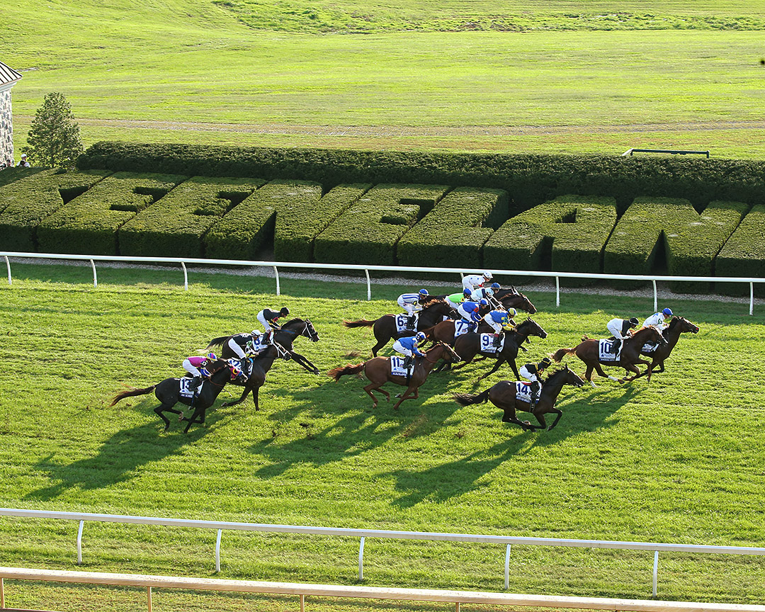 Turf racing at Keeneland Racecourse