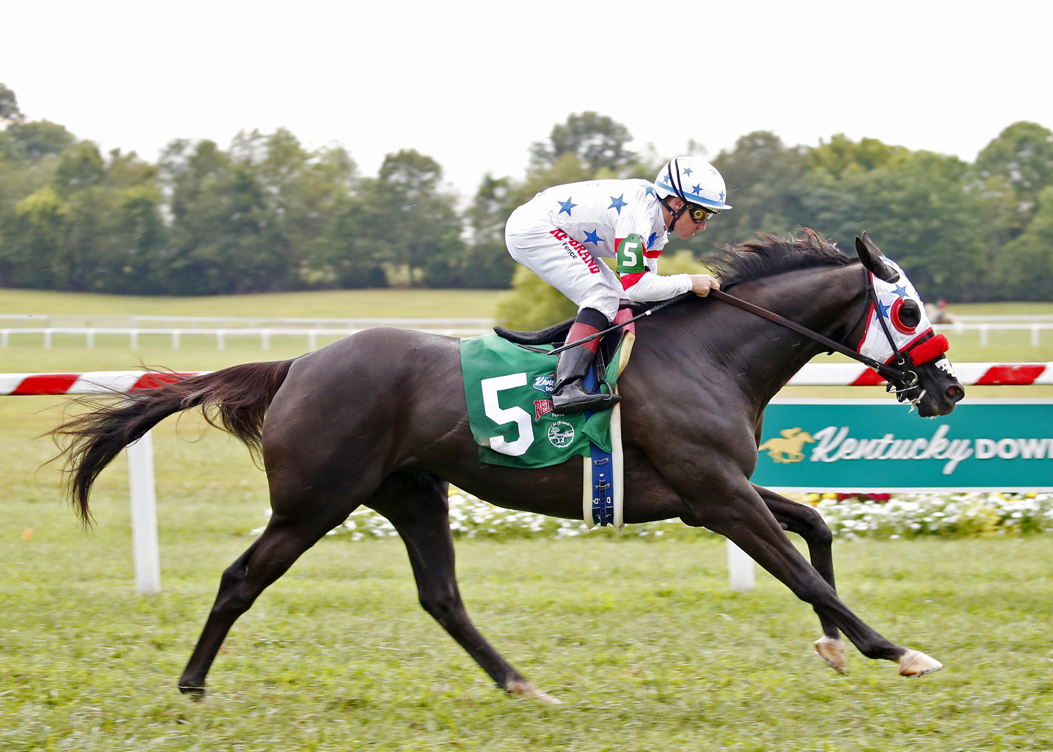 Next Shares wins the 2018 Old Friends Stakes