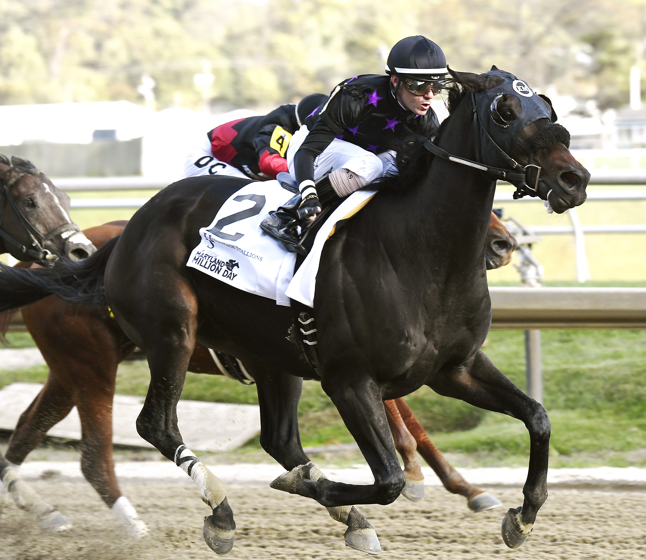 Nicaradalic Rocks wins the Maryland Million Sprint Handicap