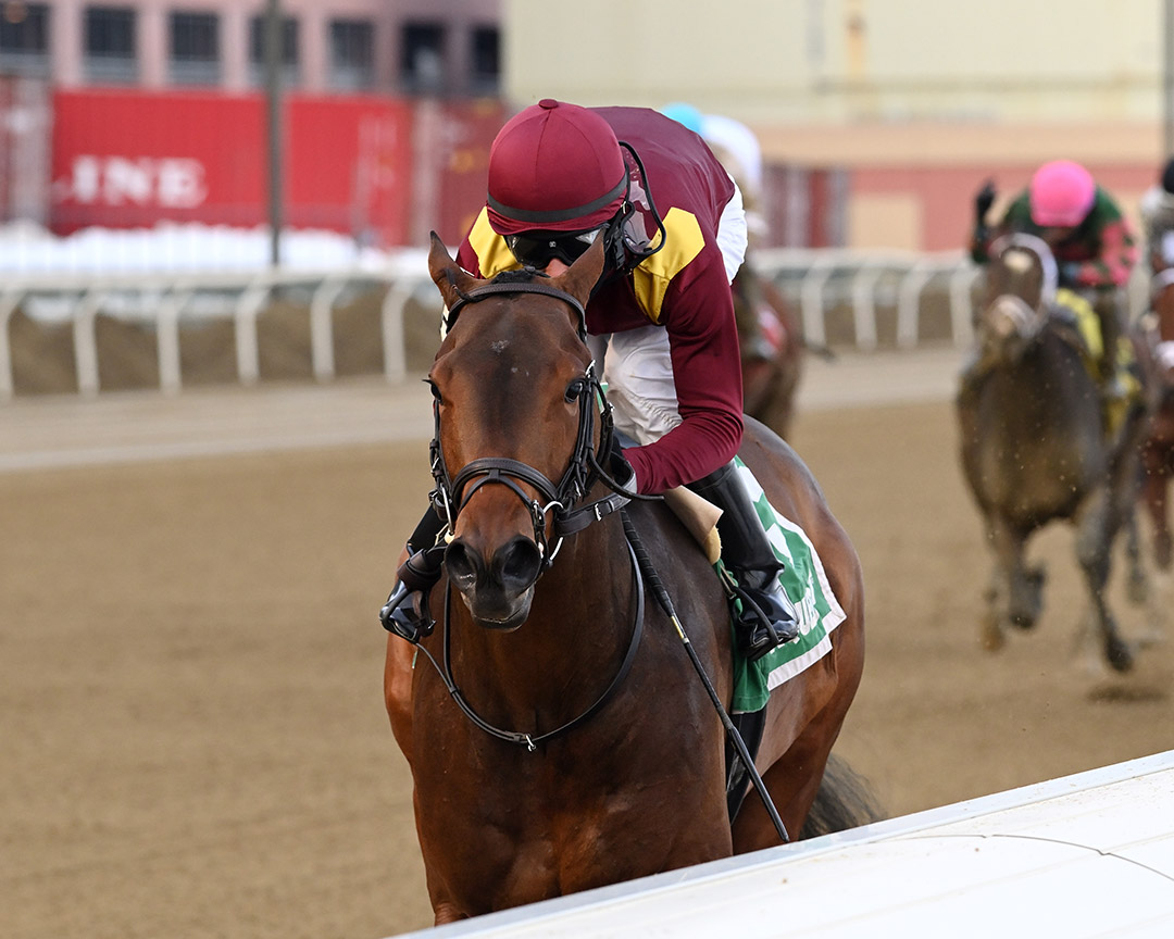 Nicky the Vest wins the 2021 Gander Stakes at Aqueduct Racetrack