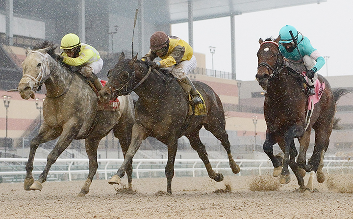 Nicodemus (center) finishes second in the 2020 Toboggan Stakes at Aqueduct