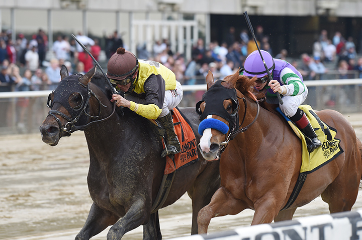 Stan the Man (right) finishes second in the 2019 Westchester Stakes at Belmont Park