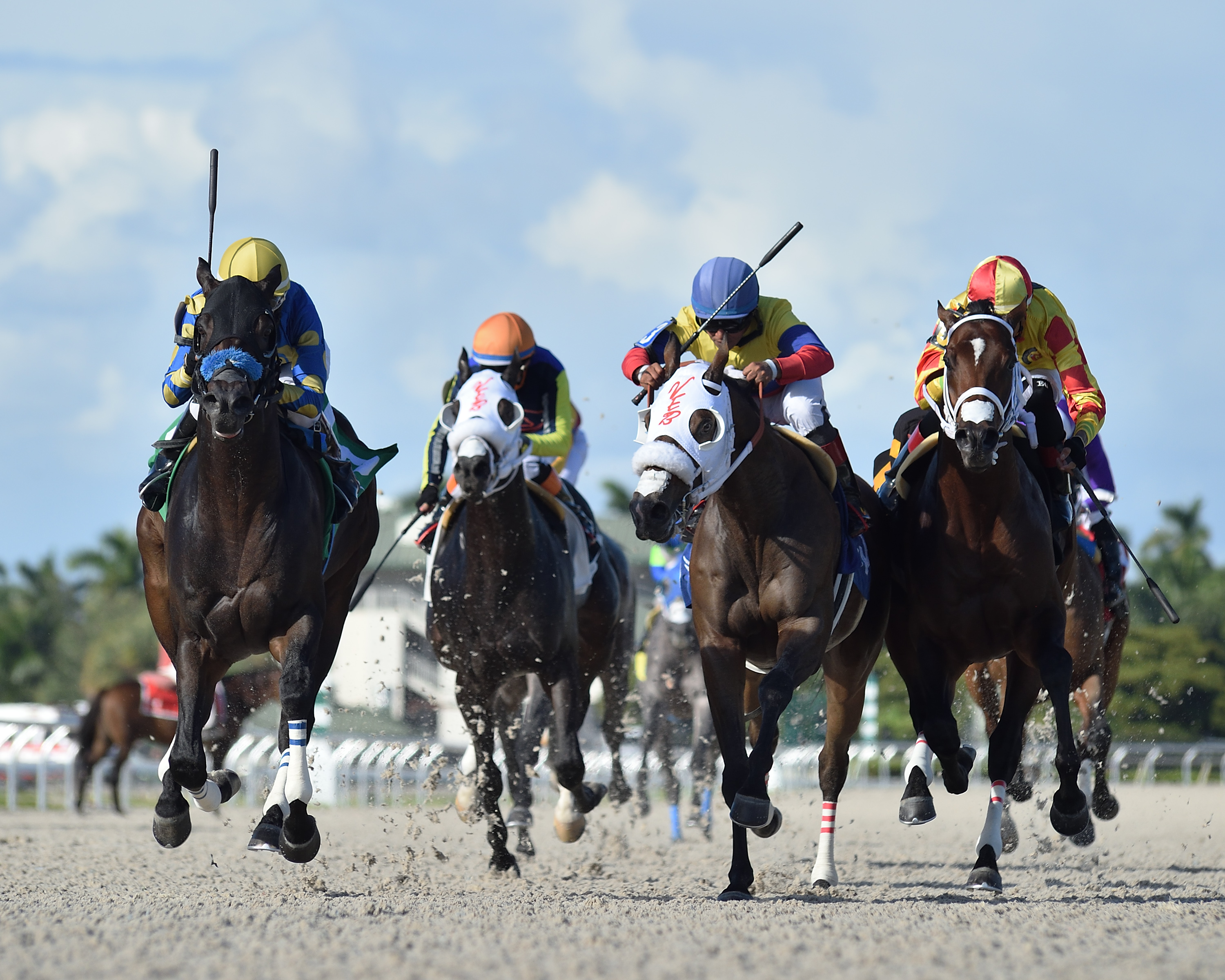Night Jumper (left) wins the Showing Up at Gulfstream Nov 5 2022