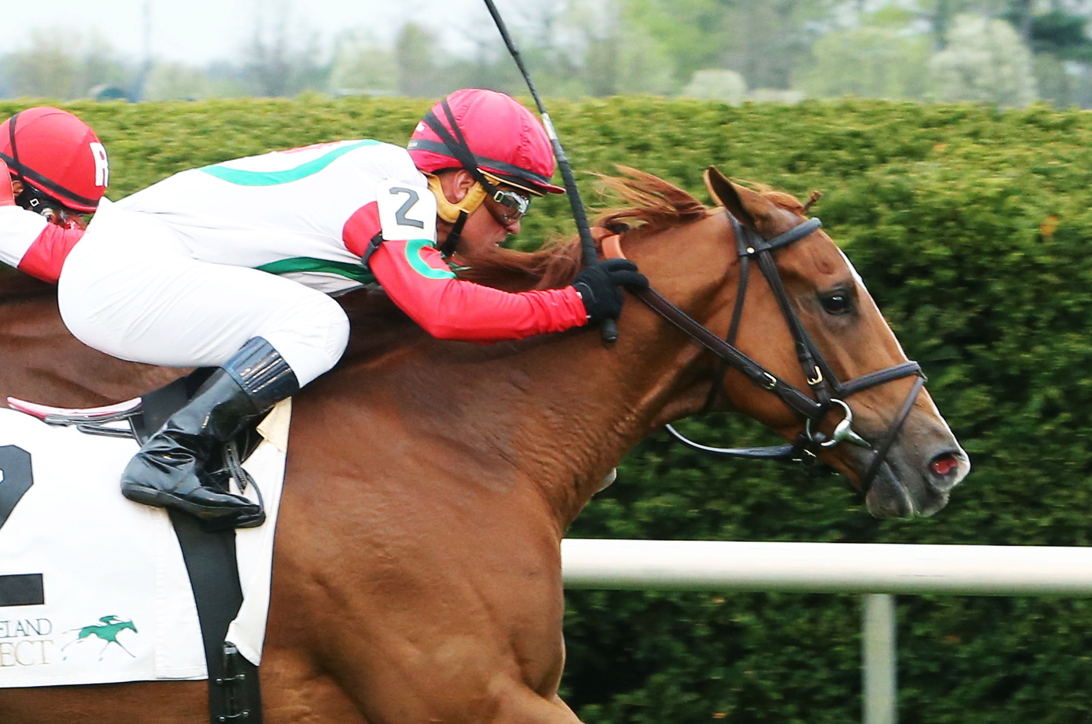 Night Prowler wins the Transylvania